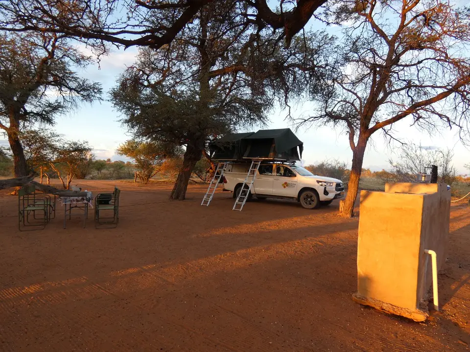 P1000050-l.jpg