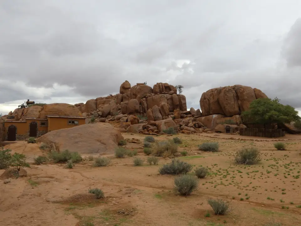 P1000505-l.jpg