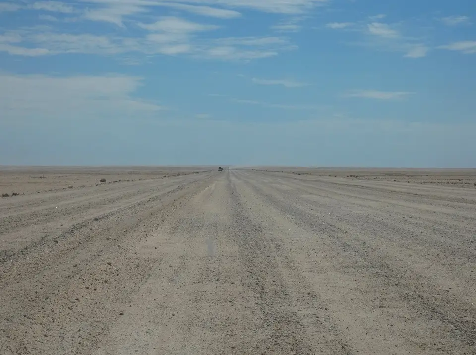 P1000775-l.jpg