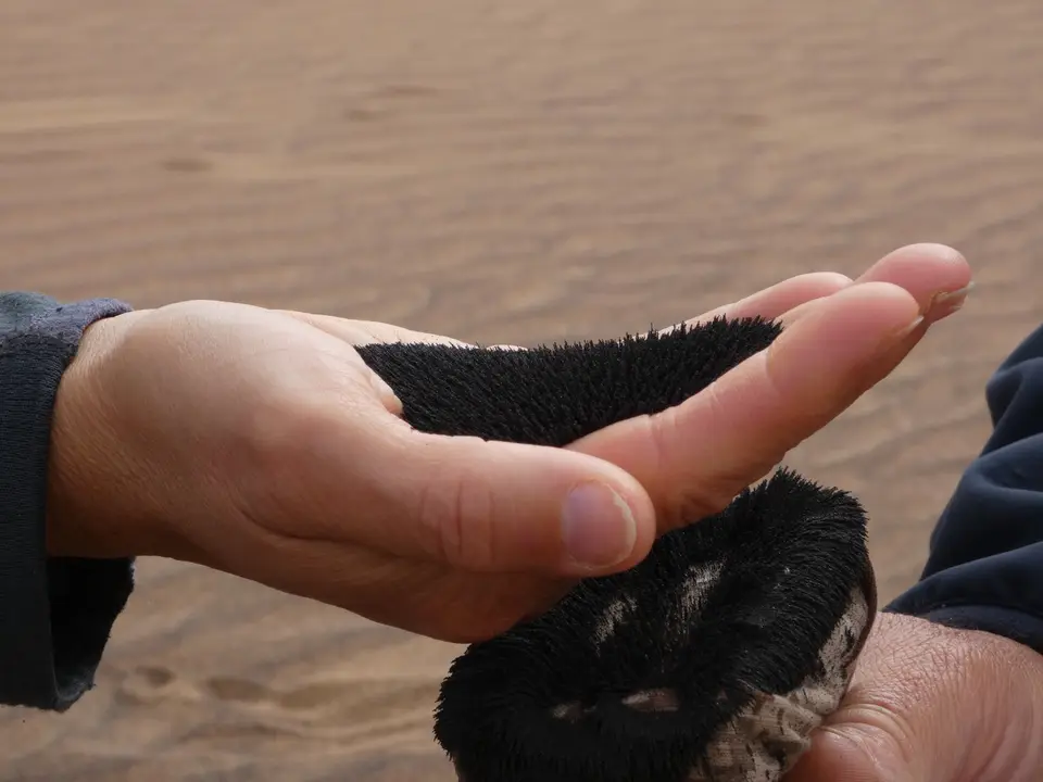 P1000823-l.jpg