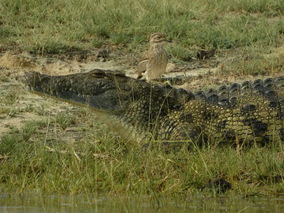 P1010592-l.jpg