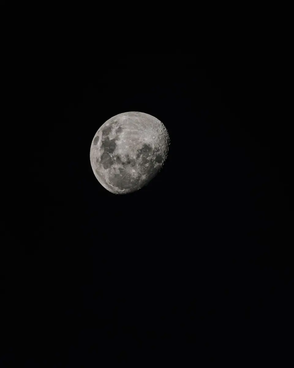 n19.jpg