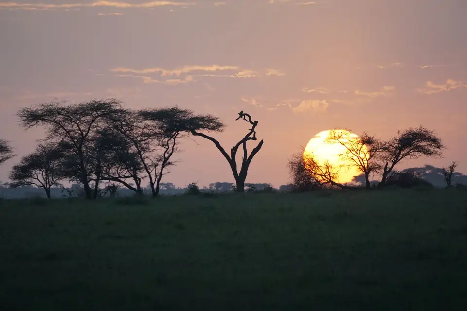 151_Sonnenaufgang_DSC00891.JPG