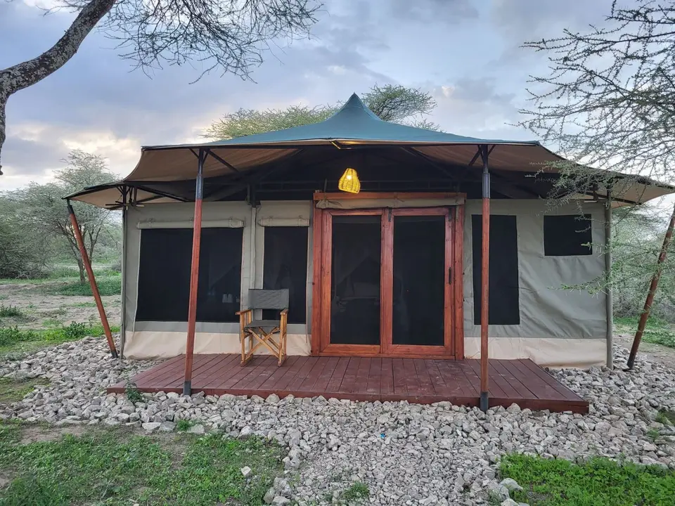 221_Safari_Haven_Migration_Camp_2.jpg