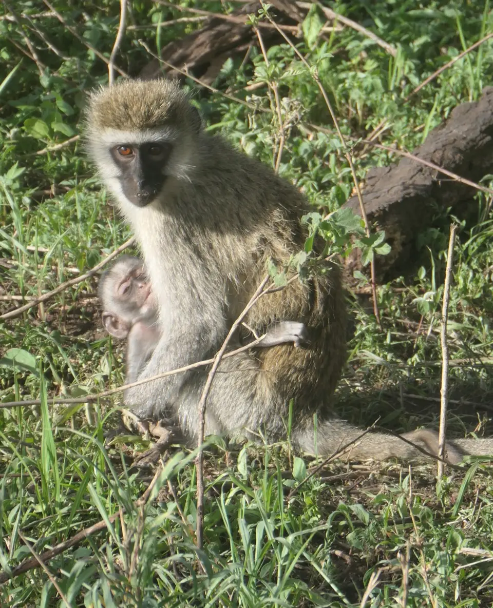 262_P1001867.JPG