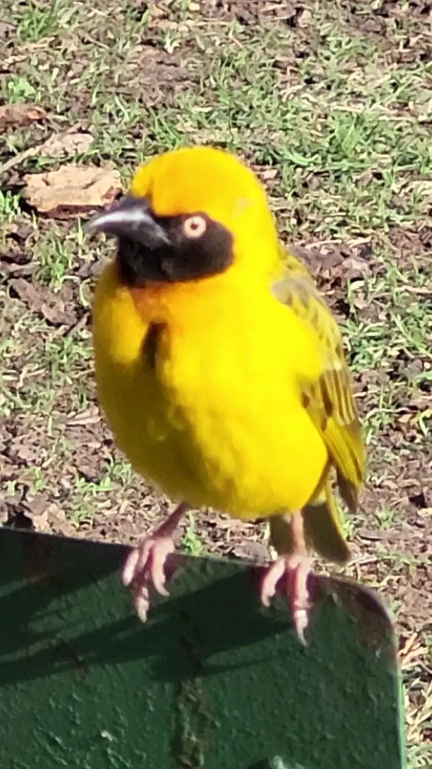 266_20260112_081647.jpg