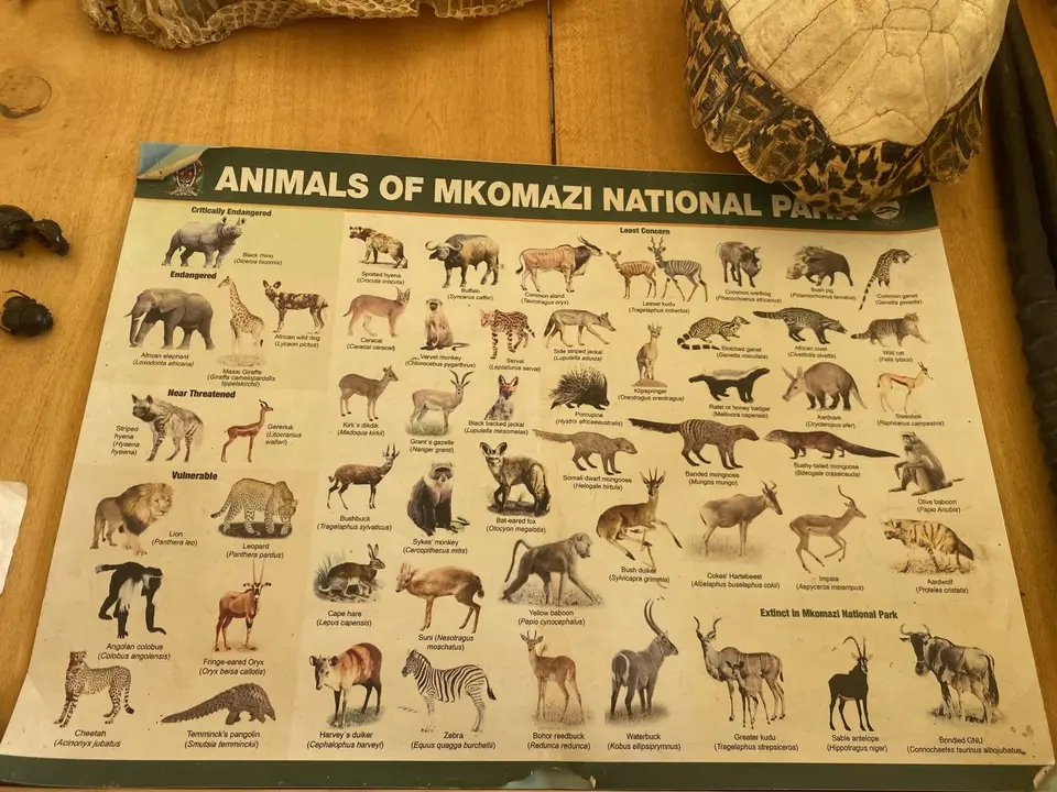 289_image00009.jpeg