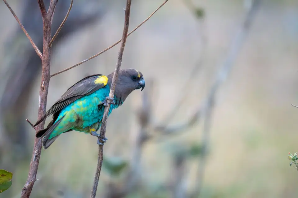 DSC00877.jpg