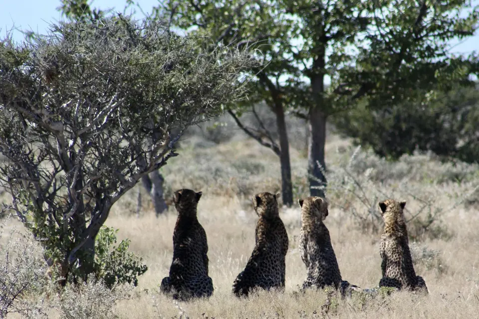 IMG_6161.jpg