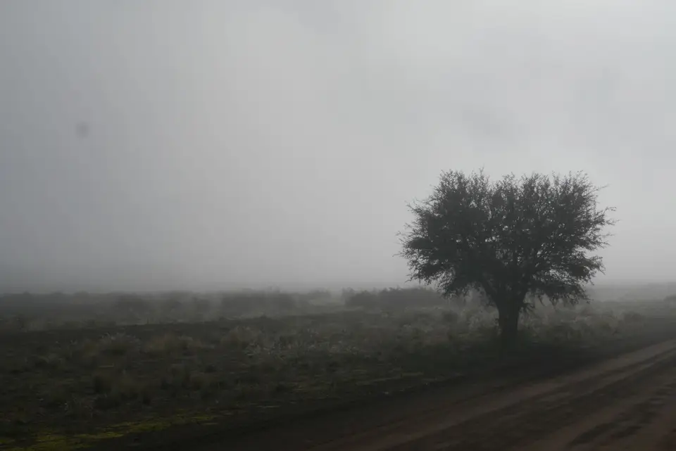 P1050496.JPG