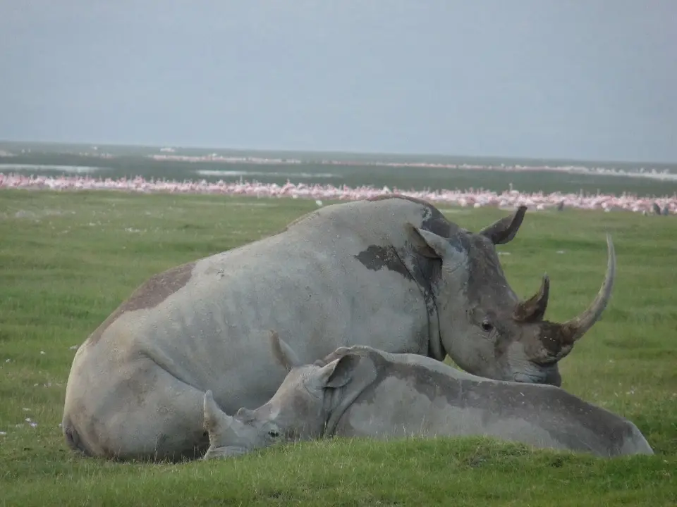 P0301.jpg