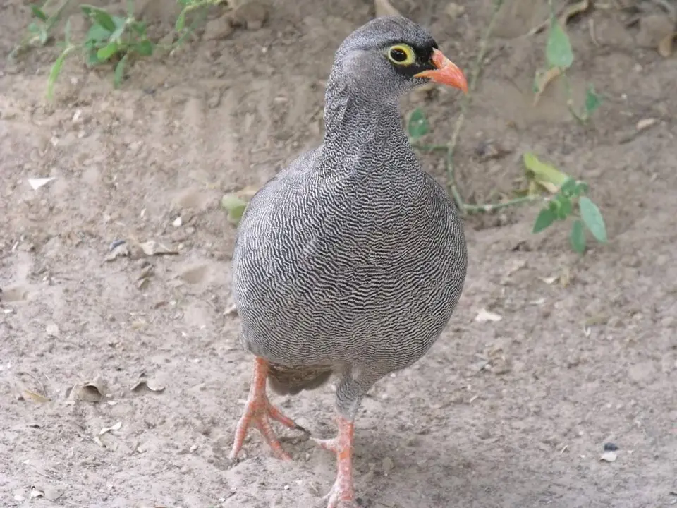 58.jpg