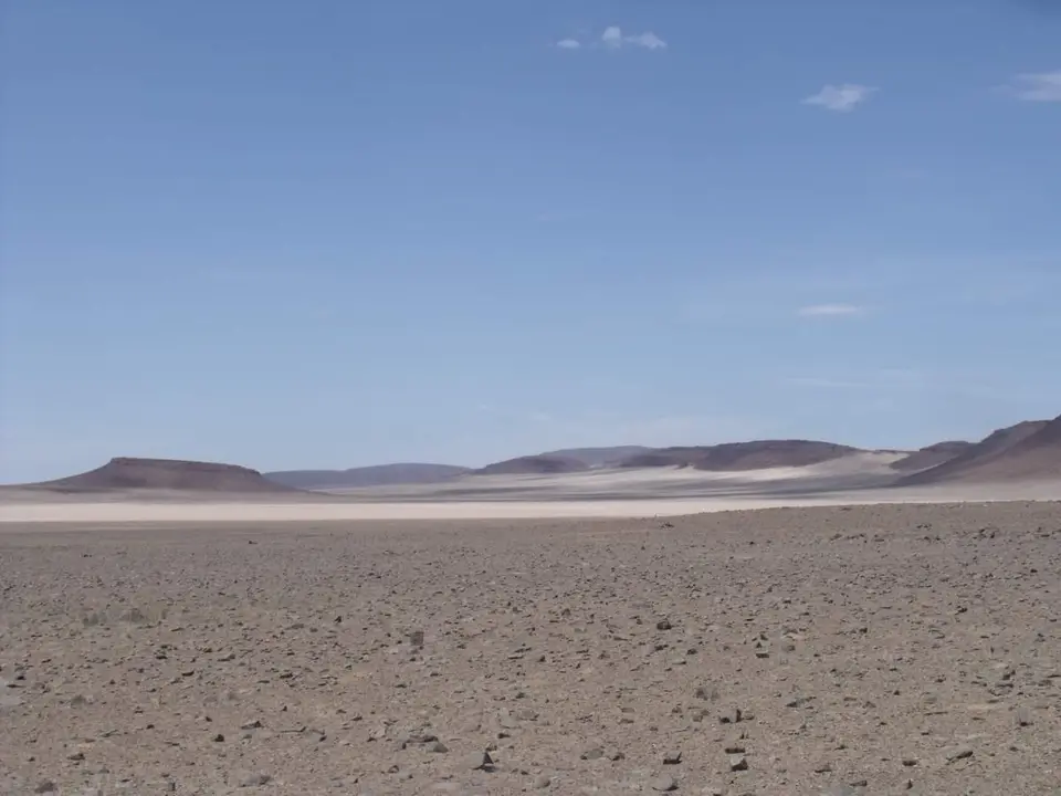 77.jpg