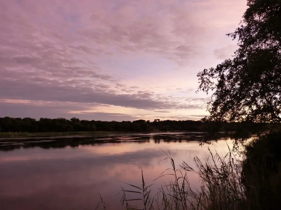 P1000011.JPG