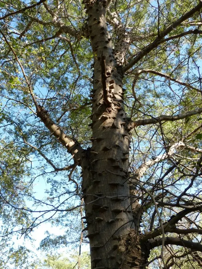 P1000051.jpg