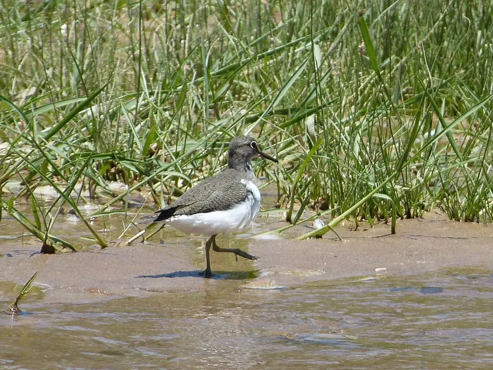 P1000849.JPG