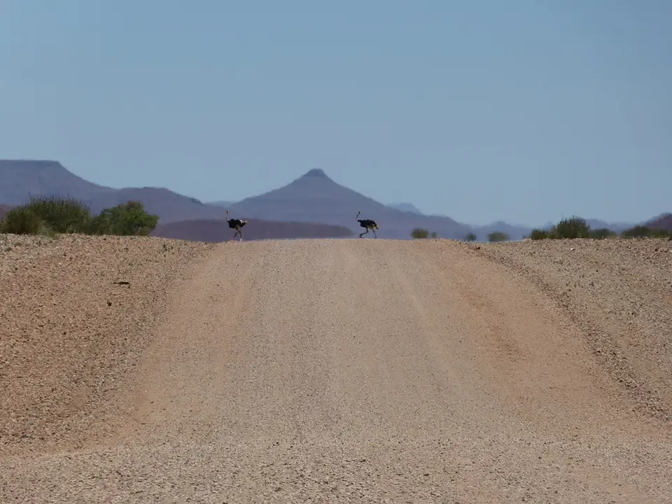 P1000860.jpg