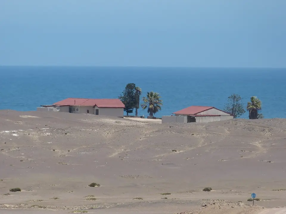 P1000921.jpg