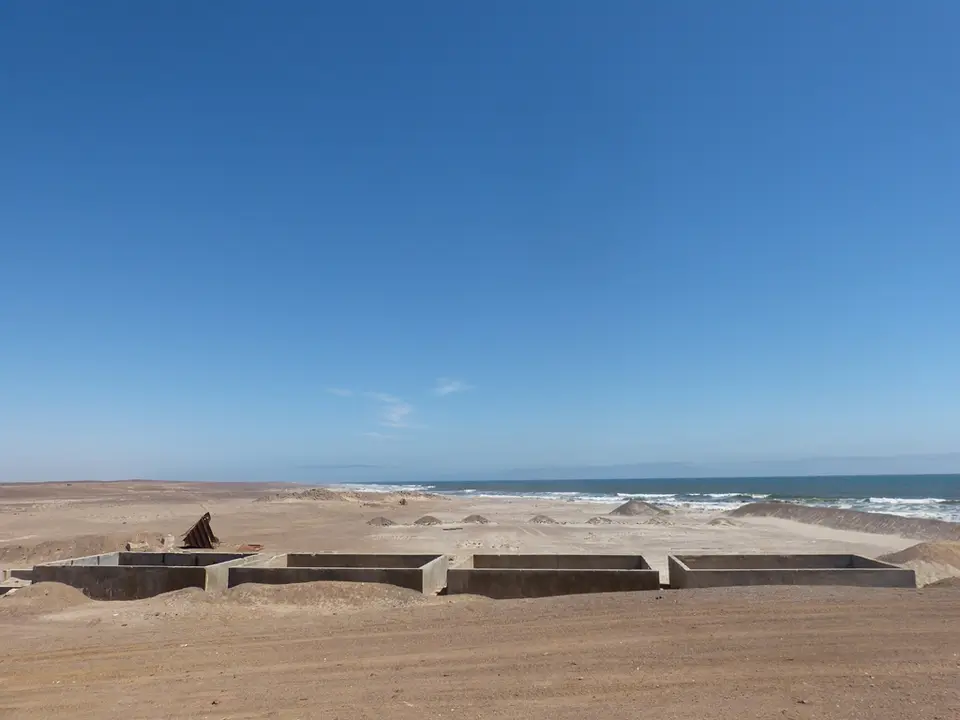 P1000961.jpg