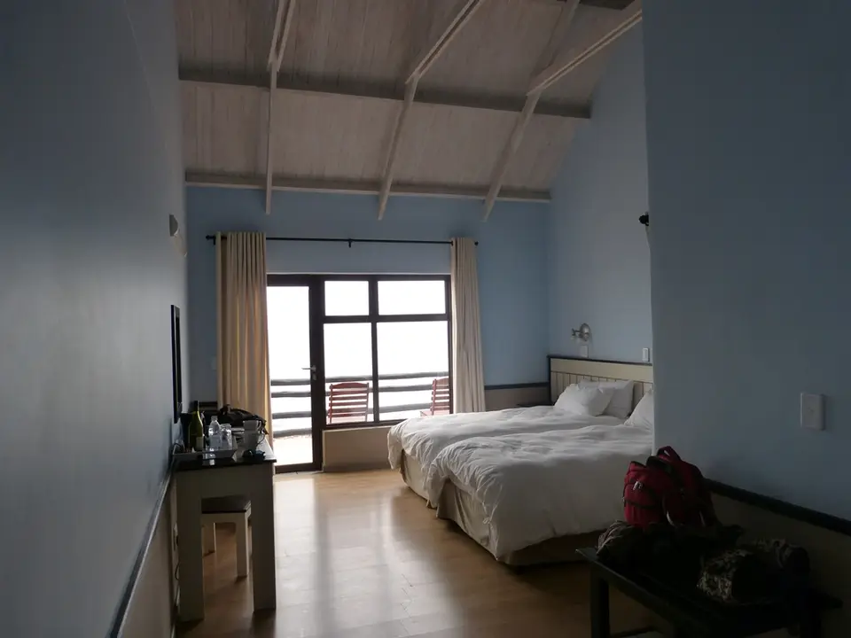 P1000984.jpg