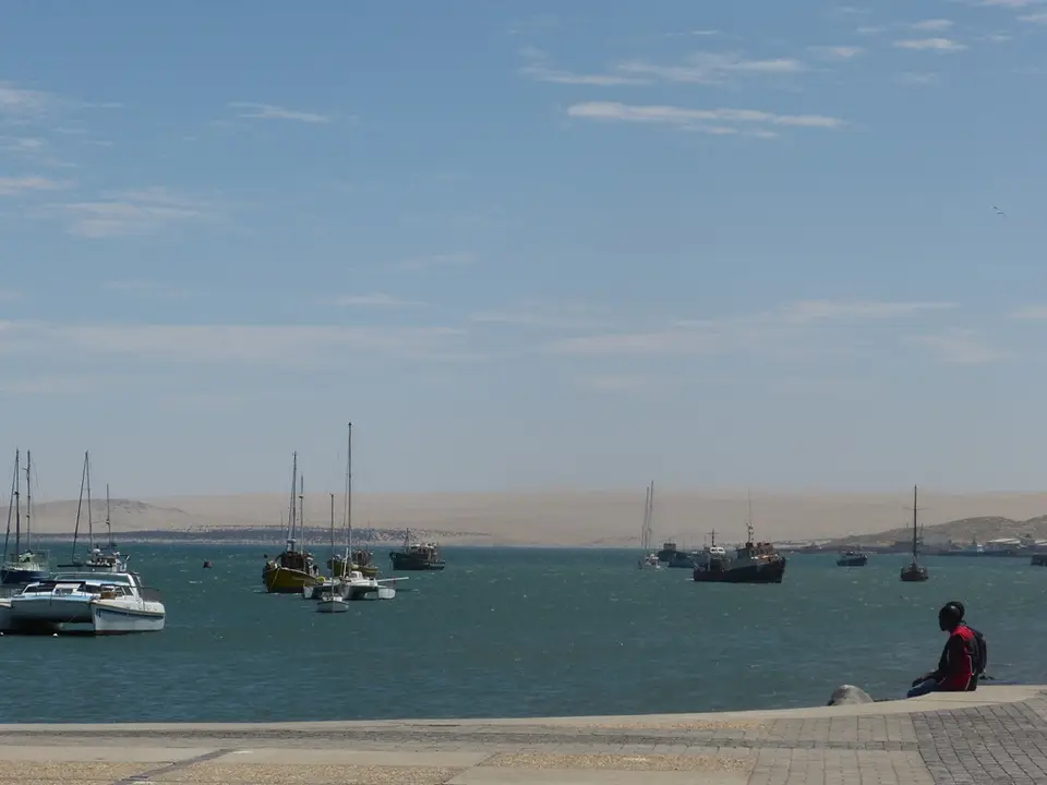 P1010293.jpg