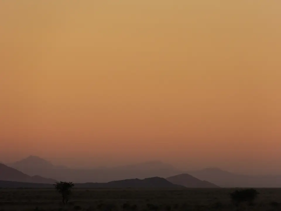 P1010414.jpg