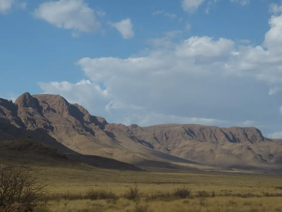 P1010497_2013-03-09.JPG