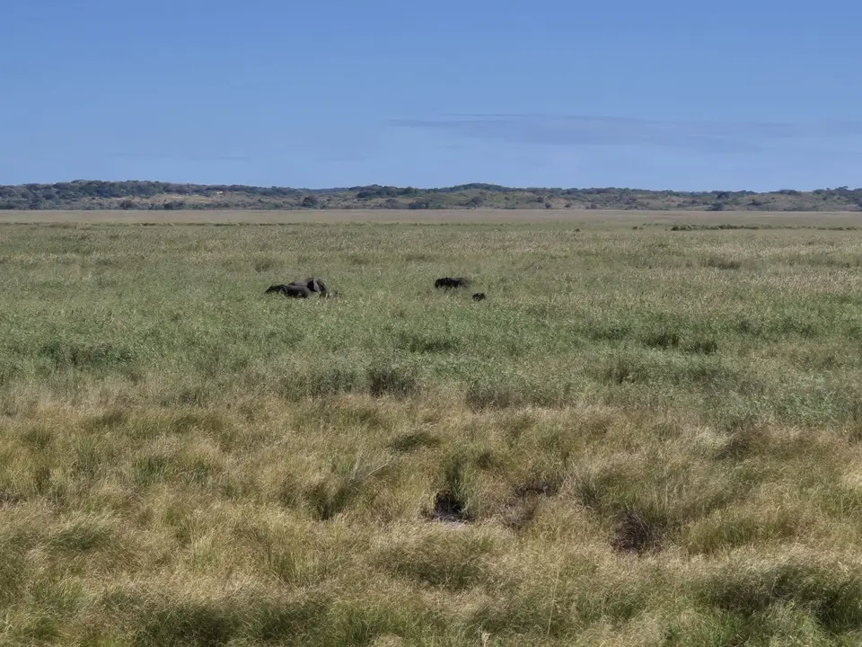 MaputoElephantReserve.jpg