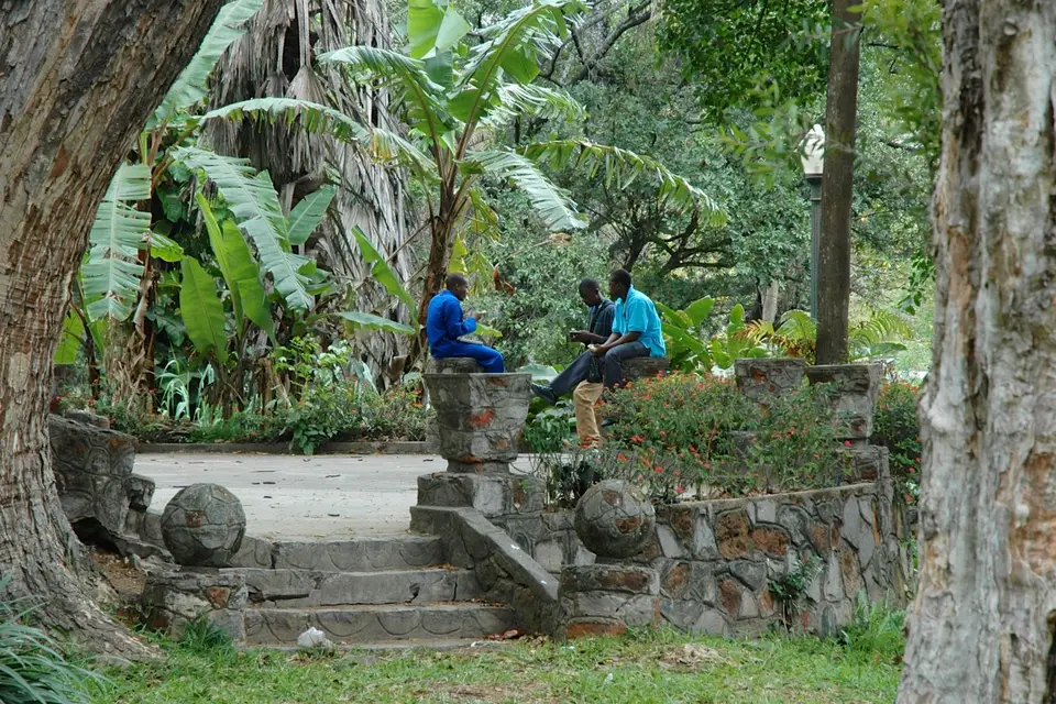 DSC_3378.jpg