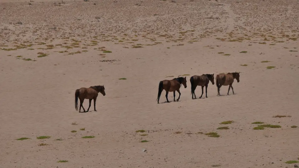 P1110004.JPG