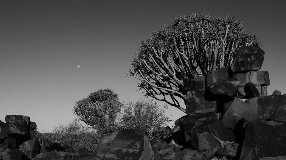 P1110432.JPG
