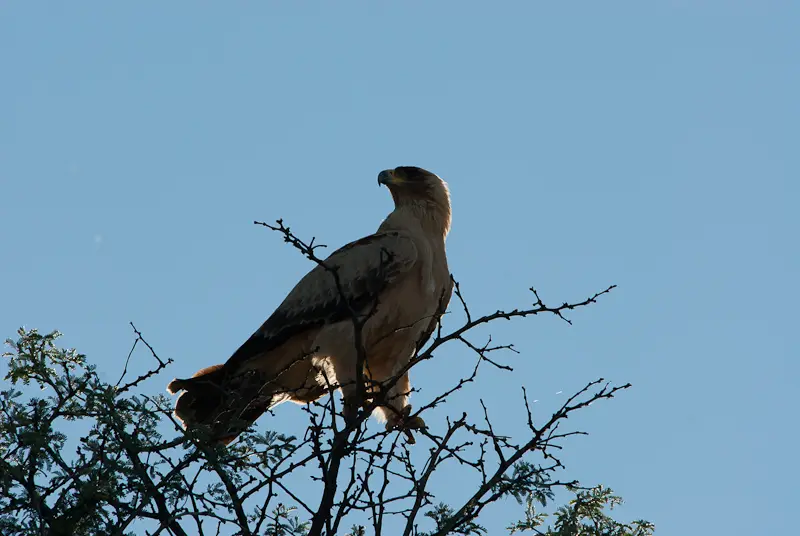 Reisebericht_KTP_2012-695.JPG