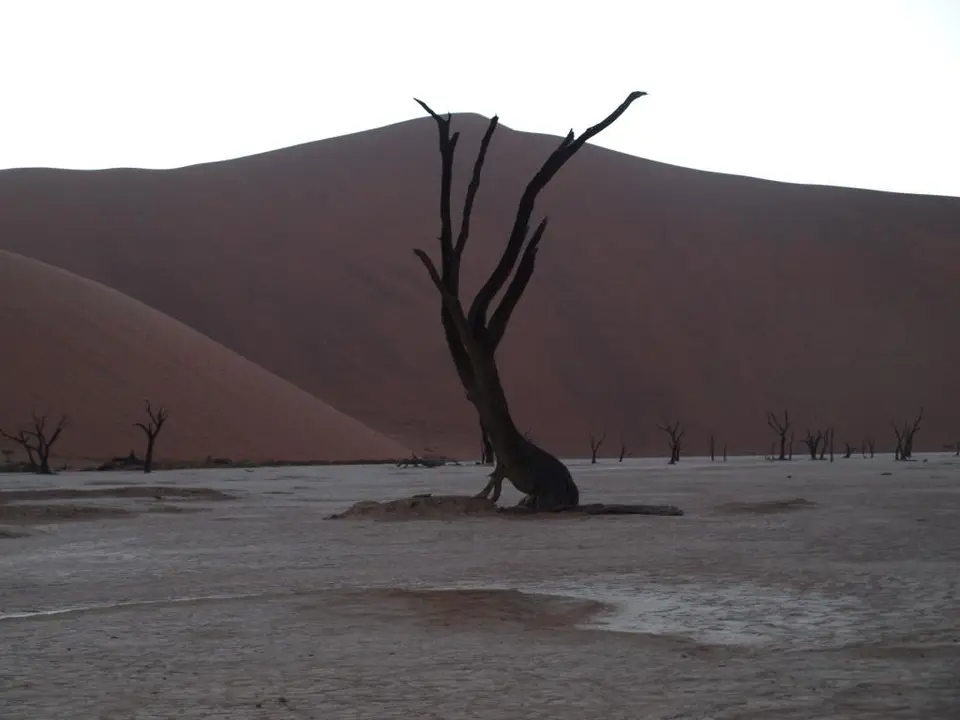 P2266648.JPG