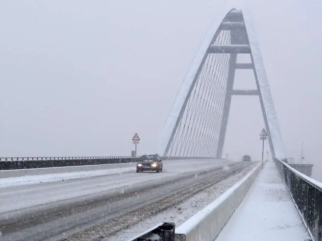 2h493.bild1.jpg