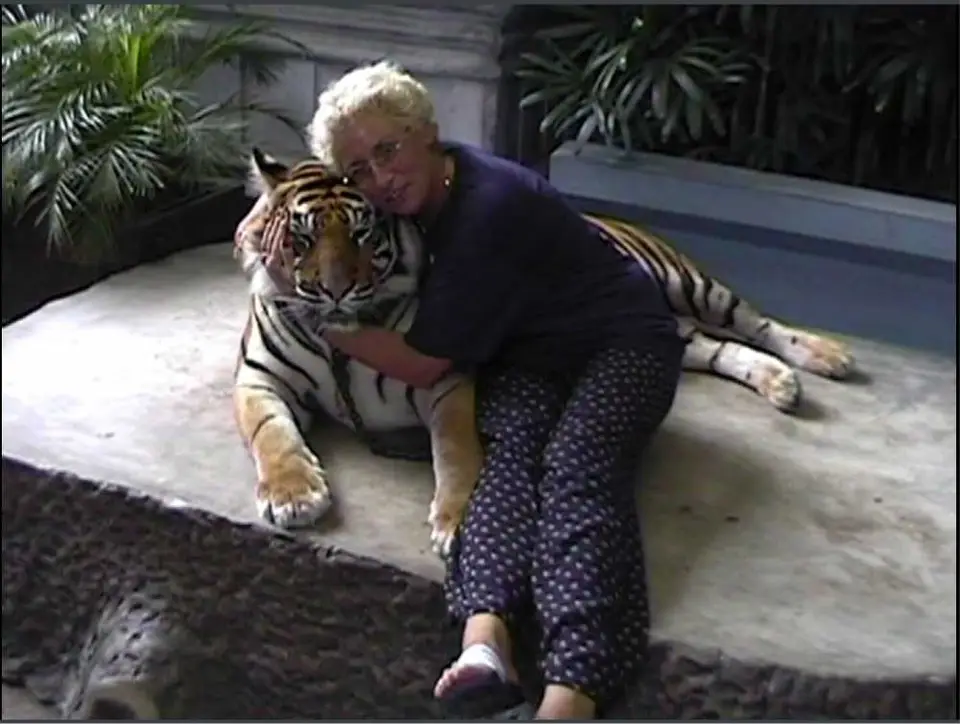 CcilemitTigerdame-003.jpg