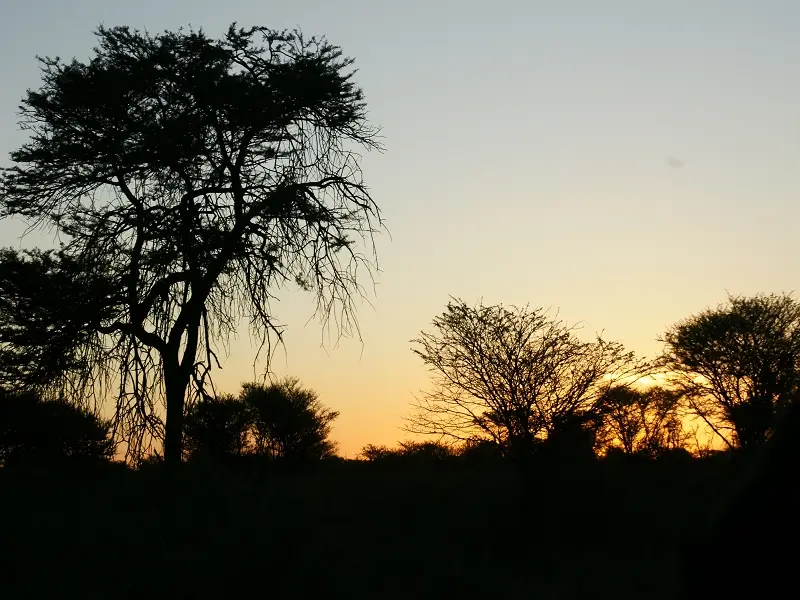 k-Aloegrove-SonnenuntergangMR131.JPG