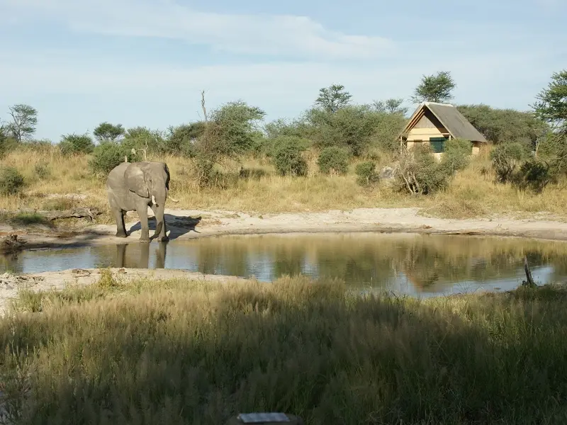k-WasserlochMR002.JPG