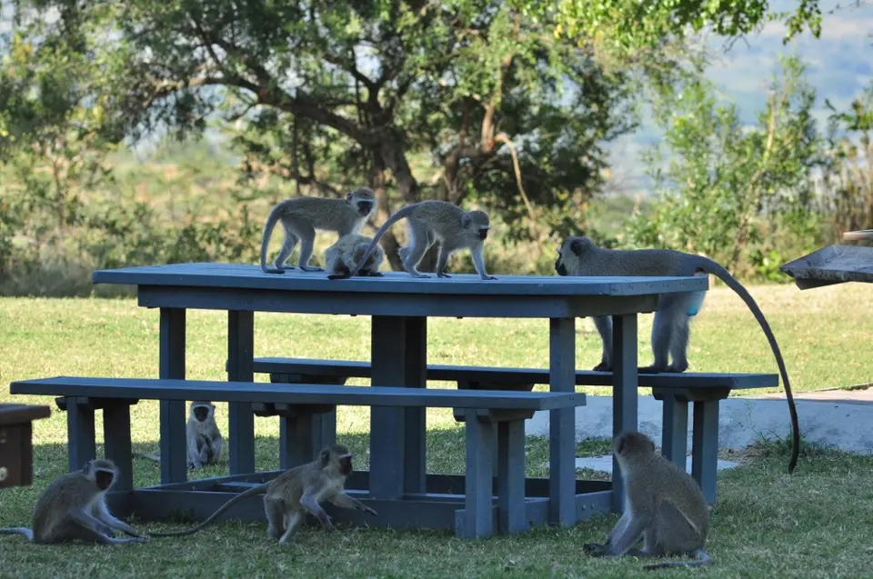DSC_6083_klein.JPG