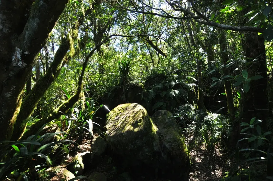 h58c87b7.JPG
