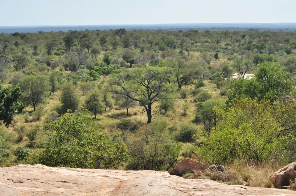 h7688798.JPG