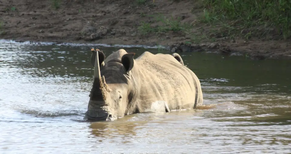 Südafrika(4700).JPG