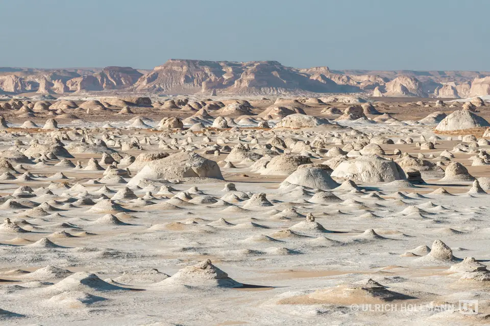 103_Egypt_2022.jpg