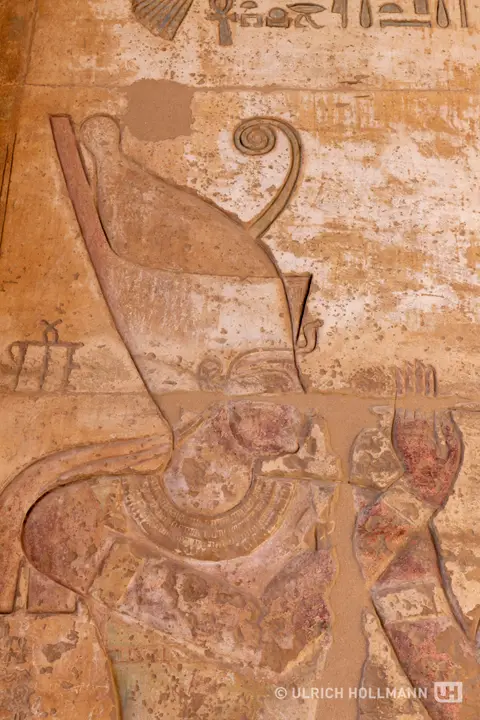 204_Egypt_2022.jpg