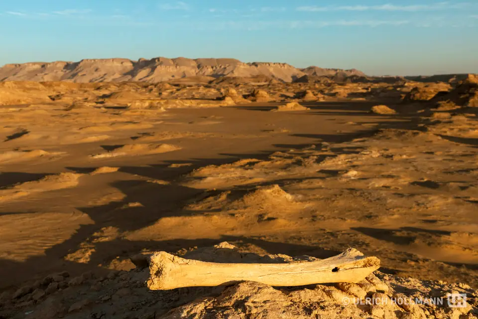 238_Egypt_2022.jpg