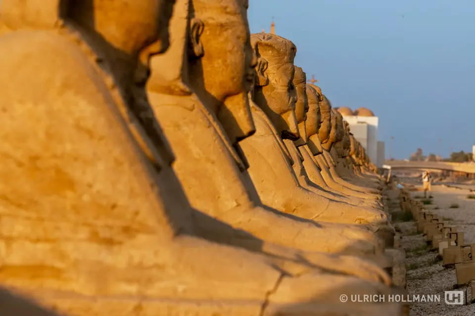 267_Egypt_2022.jpg