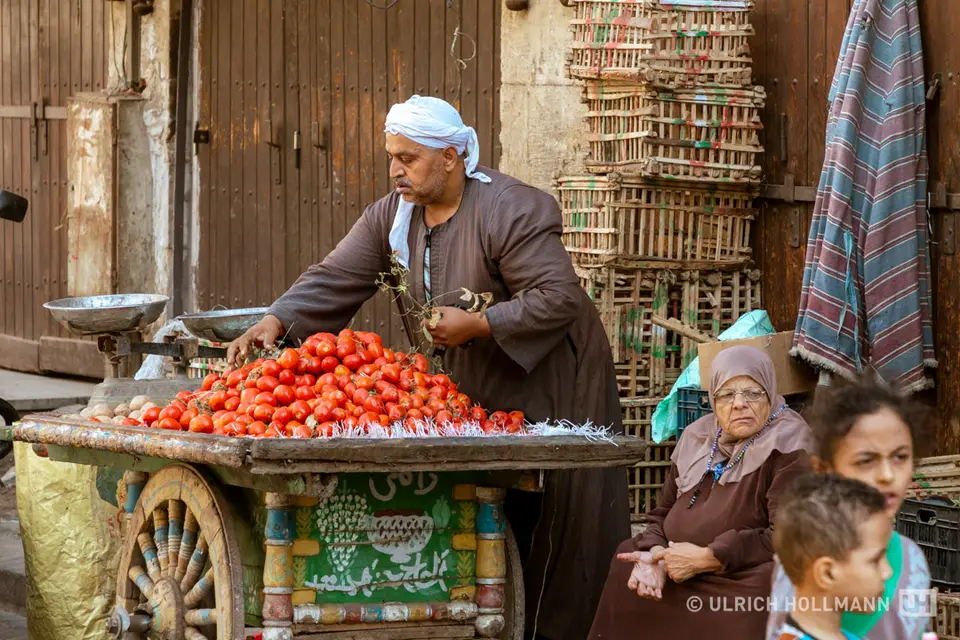 335_Egypt_2022.jpg