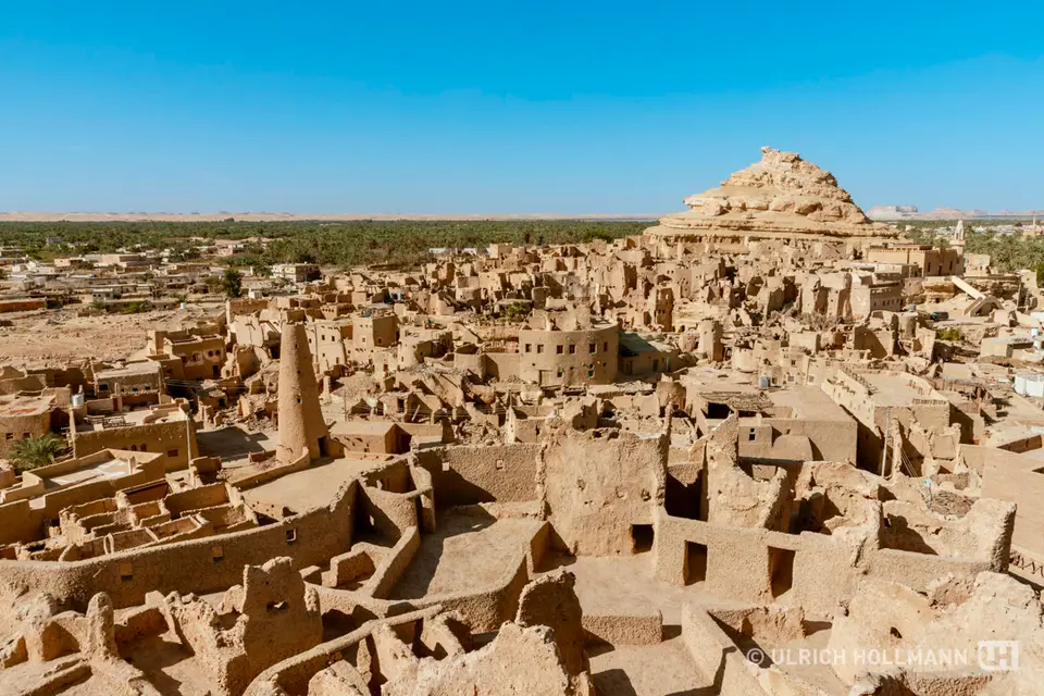 456_Egypt_2022.jpg