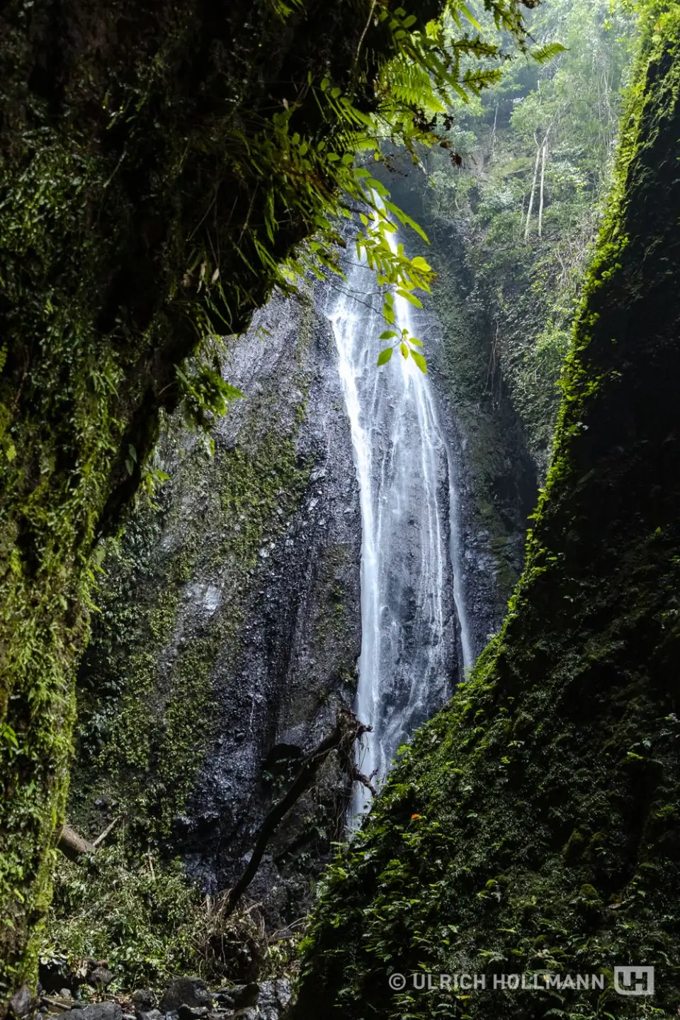 IMG_0391.jpg