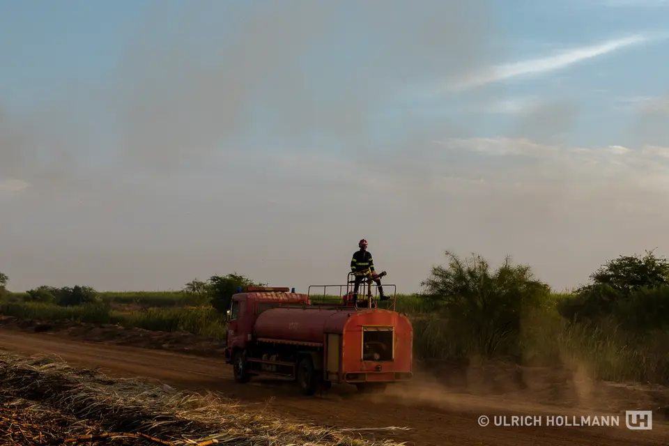 IMG_1331.jpg