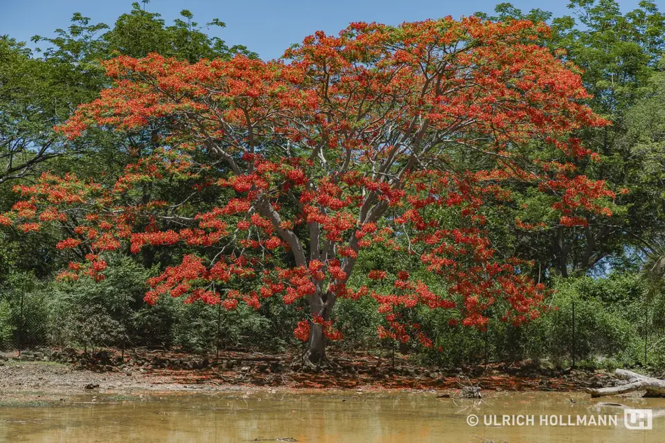 Madagaskar_0321.jpg